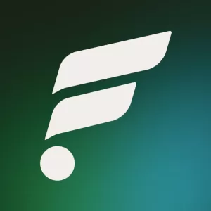 tagflay google tag
