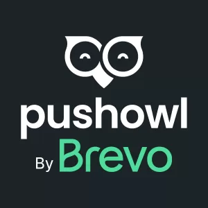 pushowl brevo