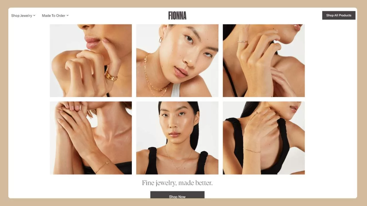 jewelry store example fionna