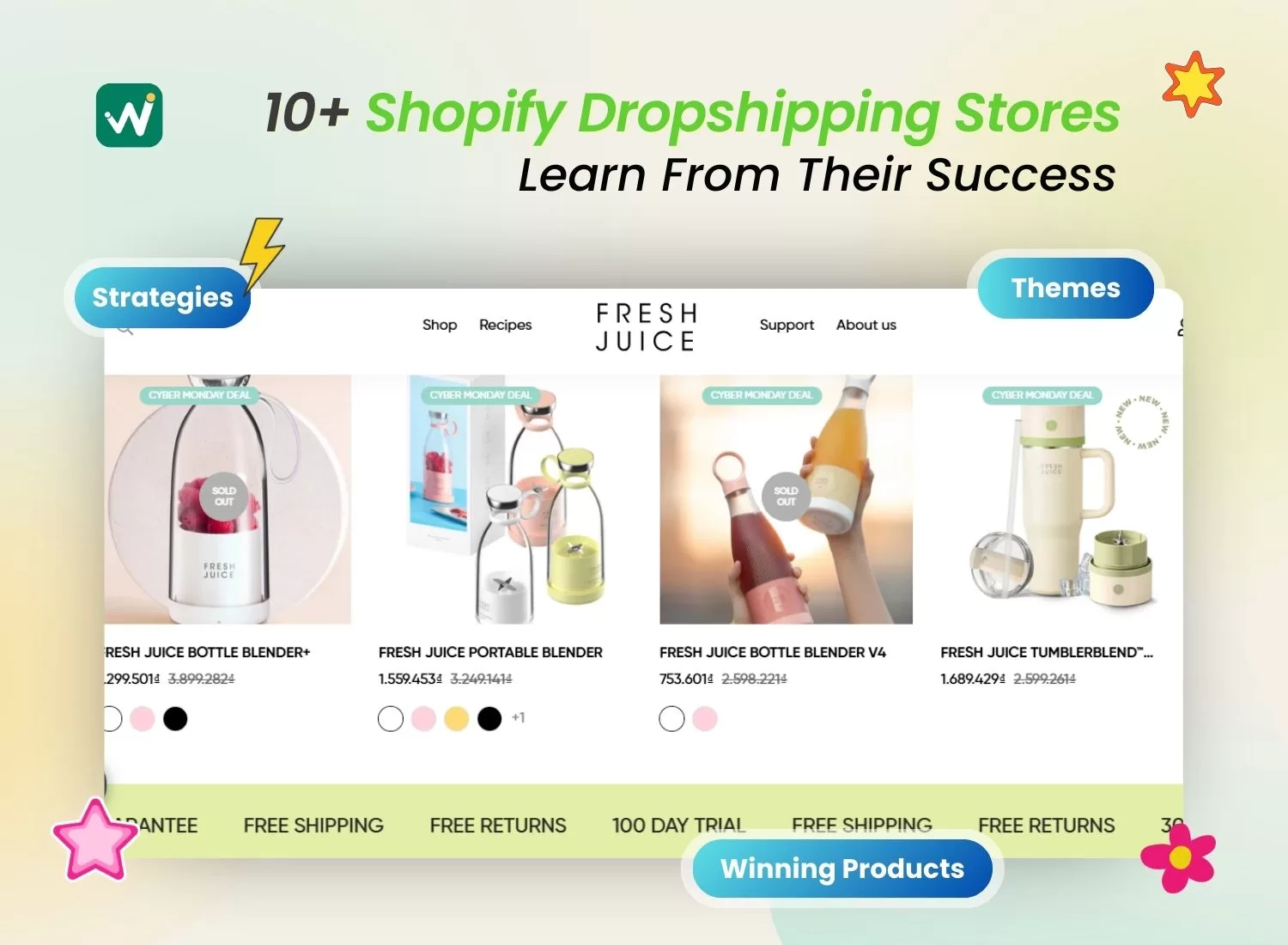 Shopify dropshipping store examples